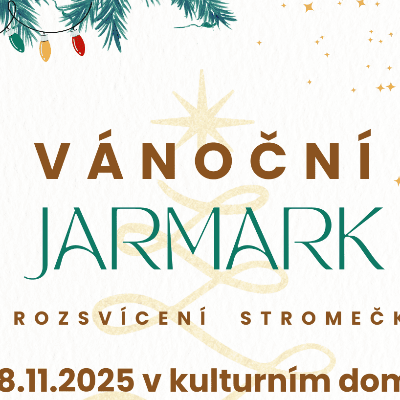 VÁNOČNÍ JARMARK A ROZSÍCENÍ STROMEČKU